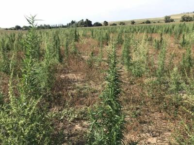 Прикрепленное изображение: а.jpg